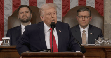 Trump Saying Government Must Protect Americans Is 'Dark'