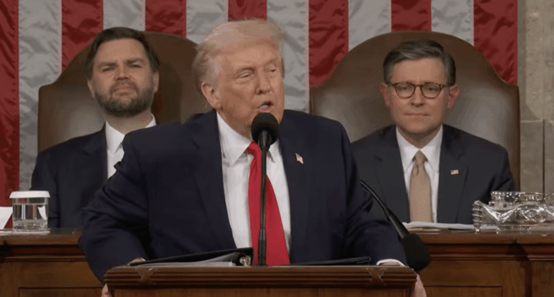 Trump Saying Government Must Protect Americans Is 'Dark'