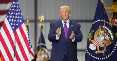 Donald Trump said that he's directed Pete Hegseth to release government files related to aliens, extraterrestrial life and UFOs