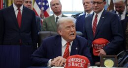 Trump attacks CNN’s Kaitlan Collins again over questions about the Epstein files: ‘I don’t think I’ve ever seen you smile’