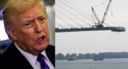 Trump bizarrely claims China will ‘terminate all ice hockey in Canada’ in threat to block new border bridge