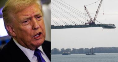 Trump bizarrely claims China will ‘terminate all ice hockey in Canada’ in threat to block new border bridge