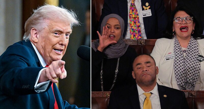 President Donald Trump on Wednesday floated that Democratic Representatives Ilhan Omar and Rashida Tlaib should 'get on a boat' and leave the U.S. after they interrupted his State of the Union address. While Trump stayed mostly restrained during his hour and 48-minute-long speech to Congress Tuesday night, he unleashed a furious tirade about the pair of Democrats - and two Hollywood celebrities - at lunchtime Wednesday. Trump suggested that he'd like to see Omar, Tlaib, actor Robert De Niro - who was protesting against Trump in Washington on Tuesday - and Rosie O'Donnell , a longtime foe of the President, float away.