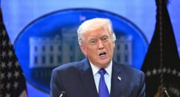 'It's my opinion that the court has been swayed by foreign interests and a political movement that is far smaller than people would ever think,' the president said from the White House Briefing Room