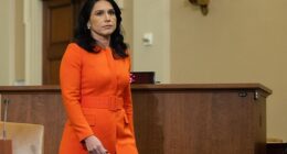 Trump makes rare intervention as secret Jared Kushner 'gossip' rips through America's spy agencies