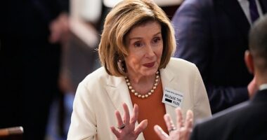 Pelosi was present at the State of the Union wearing a pin that calls on Trump to release the Jeffrey Epstein files
