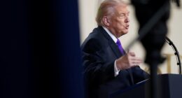 Trump says he’ll ‘figure something out’ if tariffs are struck down, as Supreme Court ruling may come next week