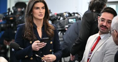 President Donald Trump got into an Oval Office tussle with CNN's Kaitlan Collins on Tuesday when she prodded him with questions about Jeffrey Epstein's victims. Trump had gathered Republican lawmakers in the Oval Office to sign a bill to reopen the government after this week's partial shutdown. The door opened to talk about the Epstein files, when another reporter asked the president his thoughts on former British Ambassador Peter Mandelson facing additional fallout from his connections to the scandal.