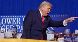 President Donald Trump warded off protestors and delivered a meandering speech about his first-year back in office while attempting to turn around a spiraling narrative about his presidency. The 79-year-old president traveled to Clive, Iowa, to address a crowd mostly comprised of his loyalists. About 30 minutes into a speech that touched on clean energy standards, ethanol, tariff-enabled funding for farmers and 401(k) savings accounts, the president was interrupted by what he called 'paid insurrectionists.' The rabble-rousers interrupted the president while Trump was bragging about the state of the economy. 'After years of the United States getting ripped off by other countries on trade. I'm standing up for the workers and the farmers of our country like no other president has ever no other president has done this,' Trump said.