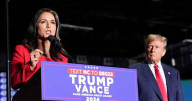 Tulsi Gabbard Comes Out Swinging Against Mark Warner, Says Senator's Whistleblower Tale Is 'Blatant Lie' – RedState