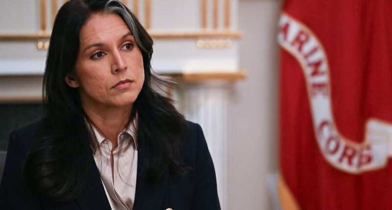 Donald Trump’s spy chief Tulsi Gabbard is accused of wrongdoing in a whistleblower complaint so highly classified it has been sealed inside a safe. The highly sensitive allegations against Gabbard have triggered months of debate over how to present the whistleblower's complaint to Congress, amid warnings it could cause ‘grave damage to national security,’ according to the Wall Street Journal. Officials familiar with the matter say the ‘cloak and-dagger mystery’ revolving around the complaint raises potential claims executive privately that may involve the White House.
