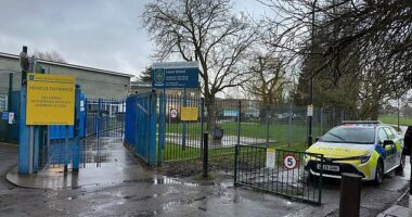 Pictured: Emergency services at the scene of a stabbing at Kingsbury High School