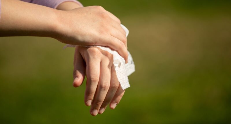 UKHSA warning to stop using wipes after fatal outbreak