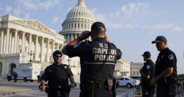 USCP Release Identity of the Man Who Rushed at Capitol With Loaded Weapon – RedState