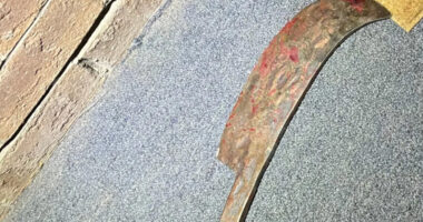 Virginia Man Shot Dead While ‘Butchering’ Wife, Daughter-in-Law, Son-in-Law