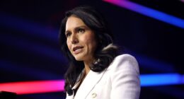 WSJ's Gabbard Hoax Is Straight From The Russiagate Playbook