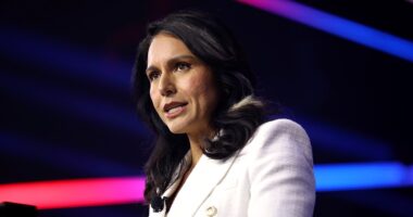 WSJ's Gabbard Hoax Is Straight From The Russiagate Playbook