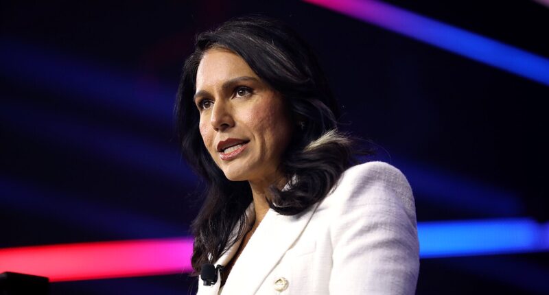 WSJ's Gabbard Hoax Is Straight From The Russiagate Playbook
