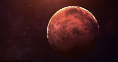 Speaking to the Daily Mail, psychic TJ Higgs explained that as Mercury turns retrograde in Pisces from tomorrow, the best laid endeavours could go awry. Stock image used