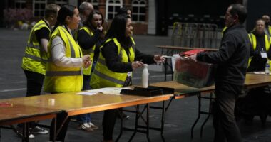 What is family voting?