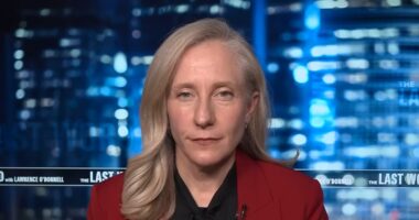 virginia gerrymandering redistricting spanberger gop rnc nrcc
