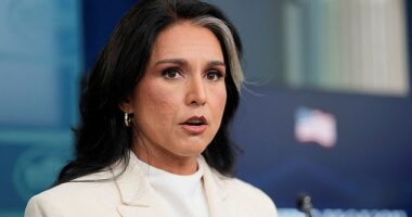 The whistleblower complaint engulfing Tulsi Gabbard accused her of suppressing a sensitive phone call between a close Trump ally and a foreign official concerning Iran, reports say