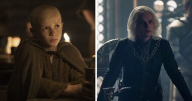 Who Is Egg? All Aegon Targaryens In Game Of Thrones Universe, Explained