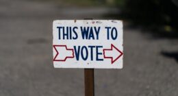 Why Are Democrats Trying to Protect Illegals at Polling Places? GOP Senator Demands Answers – RedState