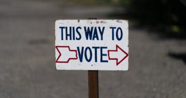 Why Are Democrats Trying to Protect Illegals at Polling Places? GOP Senator Demands Answers – RedState