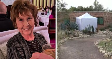 Why Forensics Just Set Up White Tent At Nancy Guthrie’s Home Days After Kidnapping