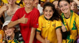 Countless rusted-on Socceroos fans have been priced out of tickets to the FIFA World Cup this year, with some greedy scalpers asking for an astonishing $322,000 for some games