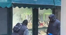 A wave of jewellery heists have hit west London with thieves swiping thousands of pounds worth of luxury items from high-end stores in exclusive neighbourhoods (Pictured: Hammer-wielding thugs break into a family-run jewellers in plush Richmond)