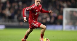 Liverpool pulled off a coup in persuading Florian Wirtz to join them in the summer - but for six months it looked like they had signed a different player to the superstar they expected