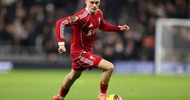 Liverpool pulled off a coup in persuading Florian Wirtz to join them in the summer - but for six months it looked like they had signed a different player to the superstar they expected