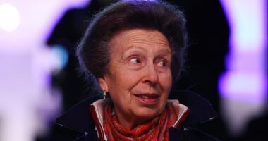 MILAN, ITALY - FEBRUARY 06: Princess Anne, Princess Royal is seen ahead of the opening ceremony of the Milano Cortina 2026 Winter Olympics at San Siro Stadium on February 06, 2026 in Milan, Italy. (Photo by Susana Vera - Pool/Getty Images)