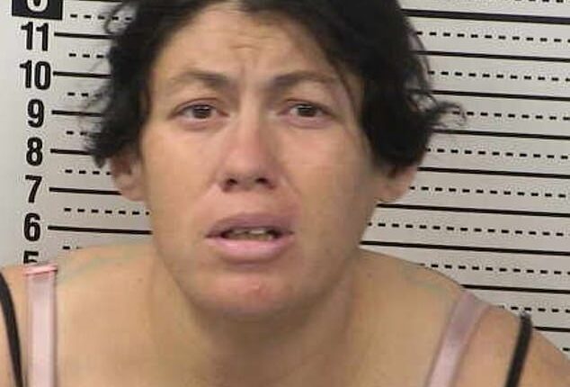 Sonia Jimenez was arrested on Wednesday and charged with one felony count of intentional child abuse resulting in death, after she allegedly abandoned her newborn inside the chemical tank of a portapotty in New Mexico