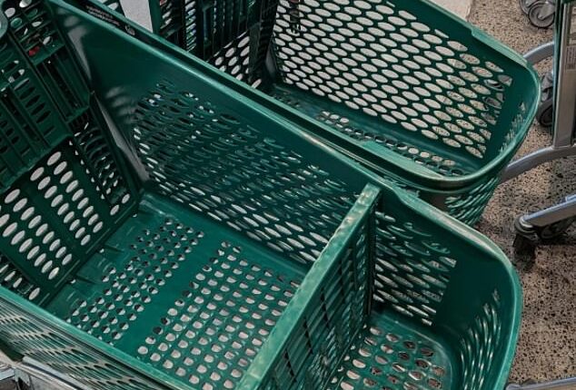 Woolworths shoppers have spotted a subtle but significant change rolling through stores, with much larger shopping trolleys quietly replacing the old design