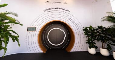 World’s First BioVault for Wildlife Preservation a Good Sign for What's Turning Into a Dire Future