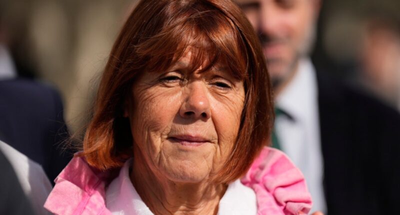 ‘I didn’t believe it was me in the photos’: Gisele Pelicot tells of learning her husband drugged her for mass rape