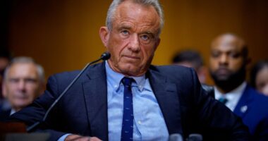 ‘Let them eat liver’: RFK Jr. mocked as Marie Antoinette after suggesting Americans eat liver over beef to save on groceries