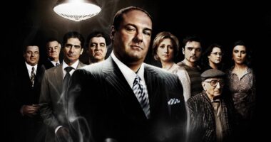 10 TV Shows We Thought Would Be The Next Sopranos