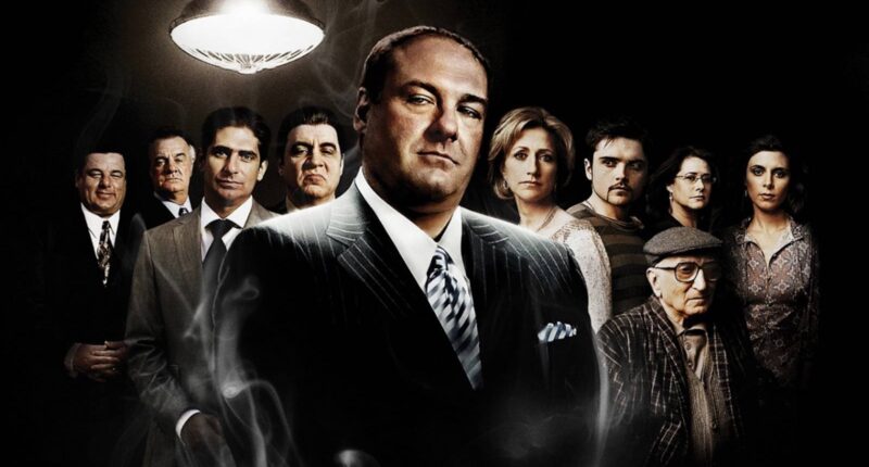 10 TV Shows We Thought Would Be The Next Sopranos