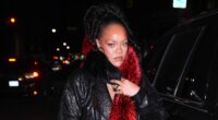 Rihanna Los Angeles Home Shooting Gunshots Incident Woman Ivana Lisette Ortiz Bail Photos