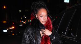 Rihanna Los Angeles Home Shooting Gunshots Incident Woman Ivana Lisette Ortiz Bail Photos