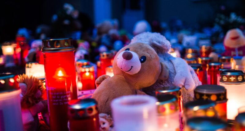 Georgia girl Jada West School Bus Fight Mason Creek Middle School Parents Claim Bullying 