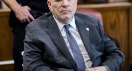 Disgraced film producer Harvey Weinstein has revealed how he feels about Adrien Brody playing dad to his and ex-wife Georgina Chapman's two kids; Weinstein seen on March 4