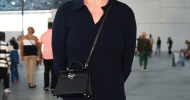 Katy Perry has found herself in the firing line after fans blasted her for what they called a ‘tone-deaf’ response to a follower who admitted she might have to sell her concert ticket just to survive; (pictured December)