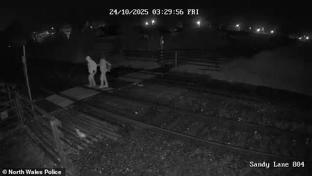 This is the moment misogynist teen Tristan Thomas Roberts led his mother Angela Shellis to a secluded nature reserve before bludgeoning her to death with a hammer