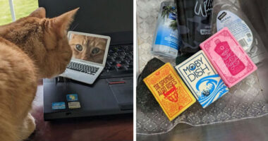 23 Novelty Finds That Ask The Important Question: “Why Isn’t Everything This Cute?”