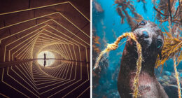 38 Winning Shots From This Year’s Mobile Photography Awards